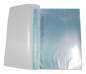 Preview: EXXO by HFP Sichtbuch / Sichthüllenmappe, A4, aus PP, mit 12 fest eingeschweißten und oben offenen Klarsichthüllen, mit blauer Abheftleiste in EURO-Lochung, Farbe: transparent – 1 Stück