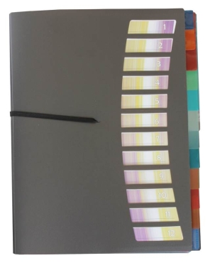 EXXO by HFP Registermappe / Ordnungsmappe / Sammelmappe, A4, aus PP, mit 12 farbig-transparenten Taben, Gummizug, mit Einschubfächern und Ausstanzungen zur Befestigung, Farbe: rauch – 1 Stück